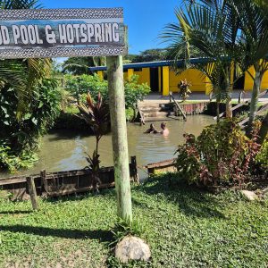 23345 Sabeto Hot Springs & Mud Pool Entry Ticket with Round-Trip Transfer