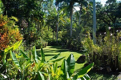 4101322442 Nadi Garden Of The Sleeping Giant, Waterfall Trek And Mudpool Hotspring Tour