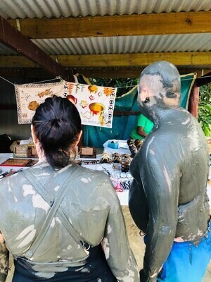4101673817 Orchid Garden, Mudpool & Hotspring with Traditional Fijian Village & School Visit