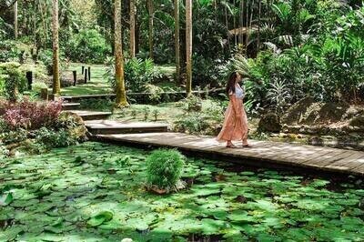 4101673822 Orchid Garden, Mudpool & Hotspring with Traditional Fijian Village & School Visit