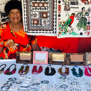 Gtt Fijian Village and Mudpool Hotspring Tour