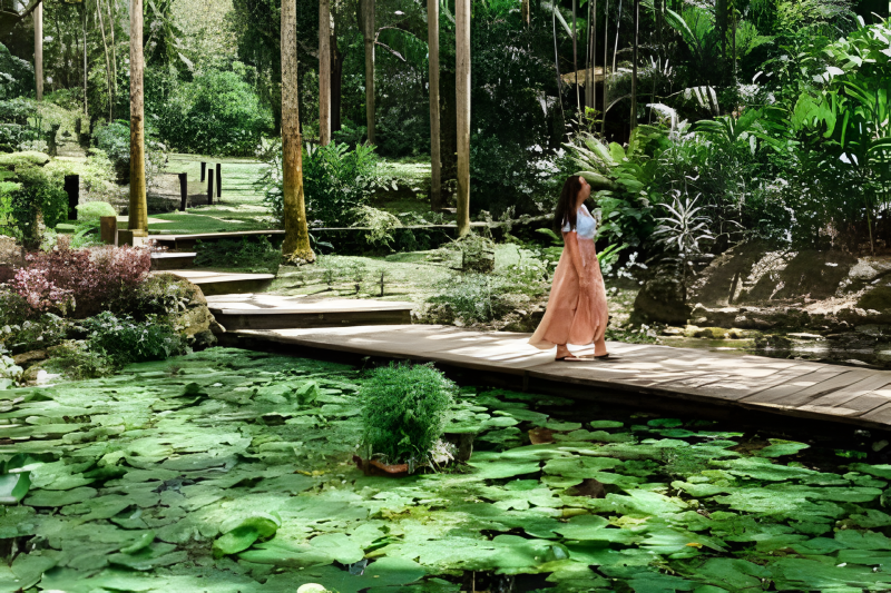 Garden of the Sleeping Giant Fiji Garden of the Sleeping Giant near Nadi Fiji